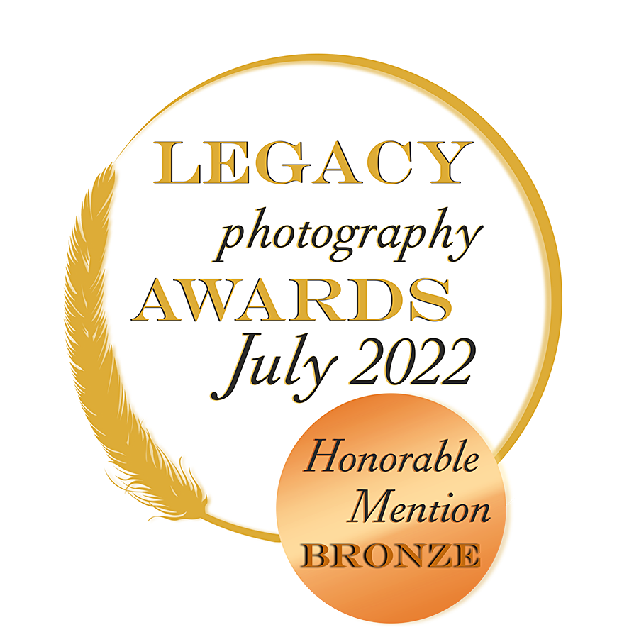Honorable mention Bronze