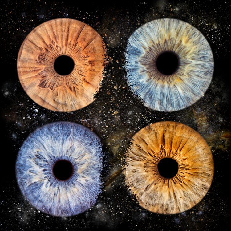 Séance photo d’iris en studio à Tours – Photographe capture chaque détail