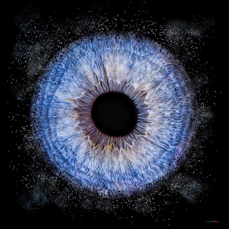 Séance photo d’iris à Tours – Gros plan sur un iris détaillé